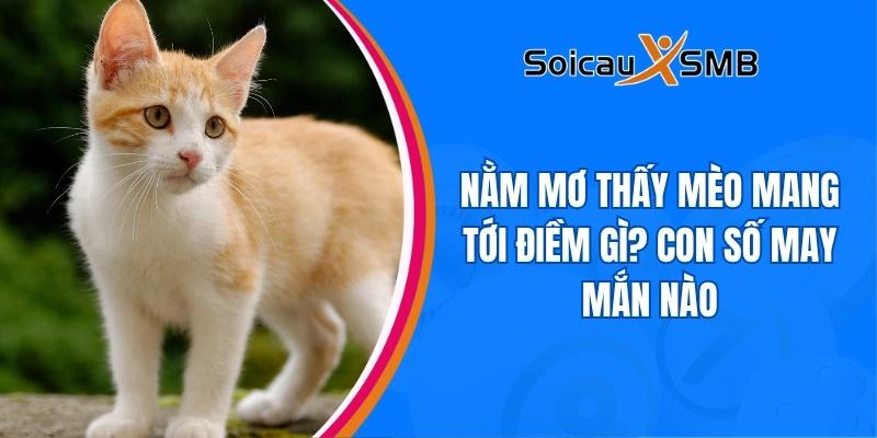 giấc mơ thấy mèo