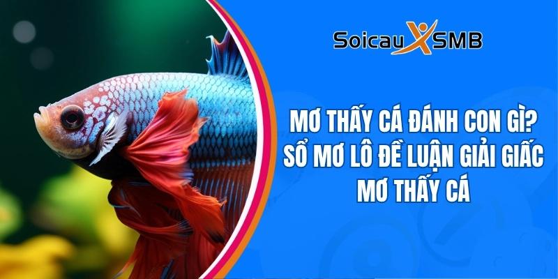 Mơ thấy cá đánh con gì? Điềm báo của giấc mơ thấy cá