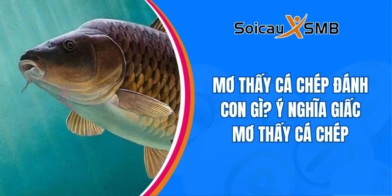 Mơ thấy cá chép đánh con gì? Ý nghĩa giấc mơ thấy cá chép