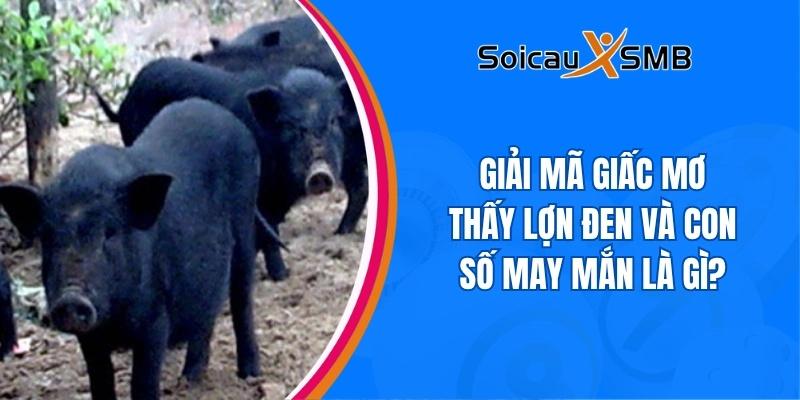 Giải mã giấc mơ thấy lợn đen và con số may mắn là gì?