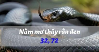 Mơ thấy rắn đen đánh con gì? Ý nghĩa giấc mơ thấy rắn đen
