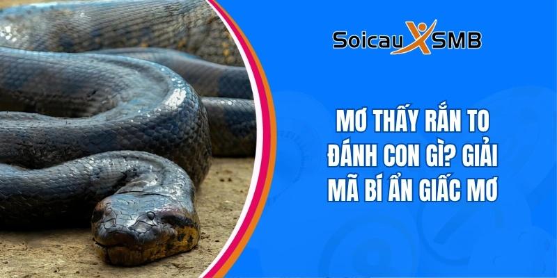Mơ thấy rắn to đánh con gì? Giải mã bí ẩn giấc mơ