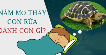 Mơ thấy rùa đánh con gì để trúng giải? Ý nghĩa giấc mơ