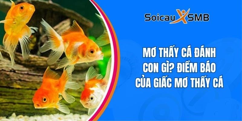 Mơ thấy cá đánh con gì? Sổ mơ lô đề luận giải giấc mơ thấy cá