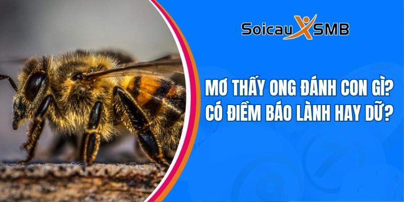 Mơ thấy ong đánh con gì? Có điềm báo lành hay dữ?