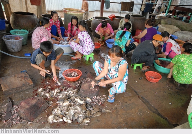 Chợ chuột Phù Dật ở xã Bình Long, huyện Châu Phú (An Giang) được xem là chợ chuột lớn nhất miền Tây. Hàng ngày chợ hoạt động sôi nổi nhất từ 5 - 9 giờ sáng. Mỗi ngày có từ 3 - 5 tấn chuột được “xuất xưởng” từ đây.